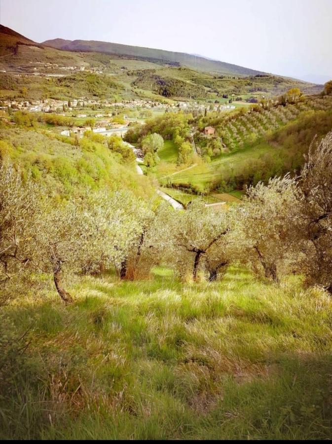 Umbria In Bike B&B Foligno Exterior photo